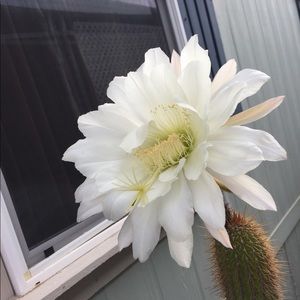 Meet your Posher, Patricia